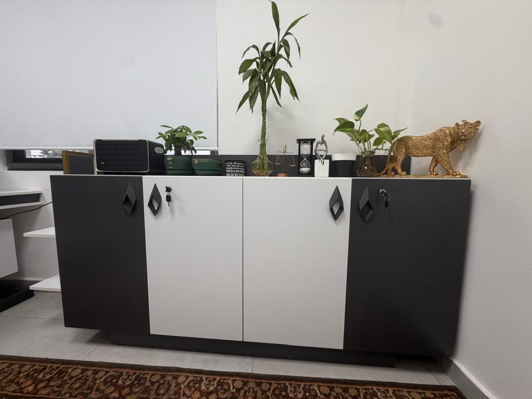 Suite 1A professional workspace