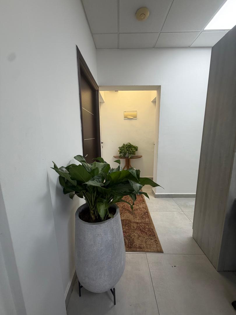 Suite 1A workspace corridor with indoor plants